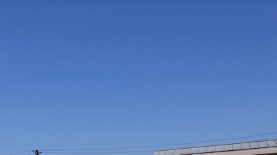 Wilshire Boulevard Temple Photo